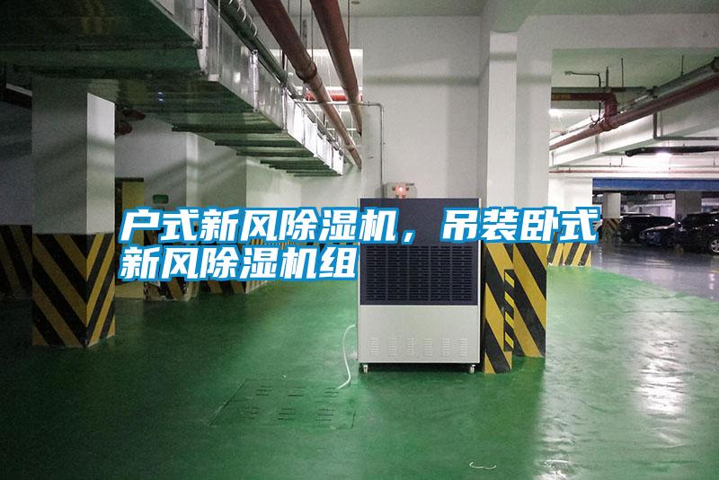 戶式新風(fēng)除濕機(jī)，吊裝臥式新風(fēng)除濕機(jī)組