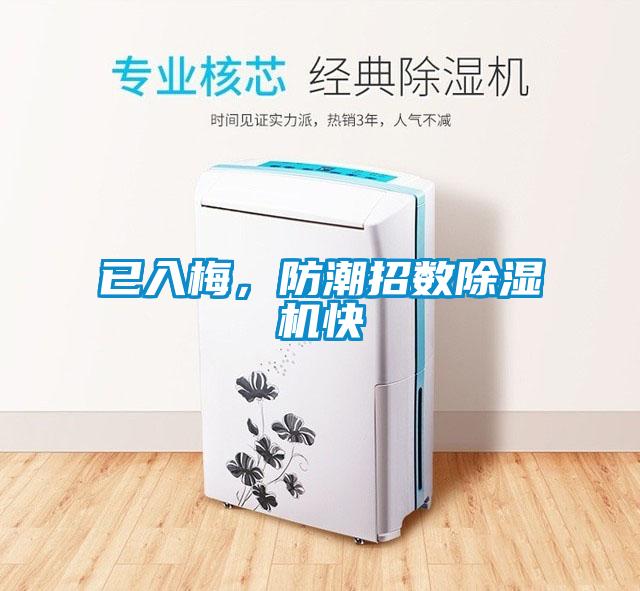 已入梅，防潮招數除濕機快