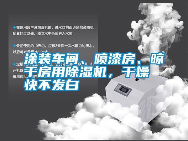 涂裝車間、噴漆房、晾干房用除濕機(jī)，干燥快不發(fā)白