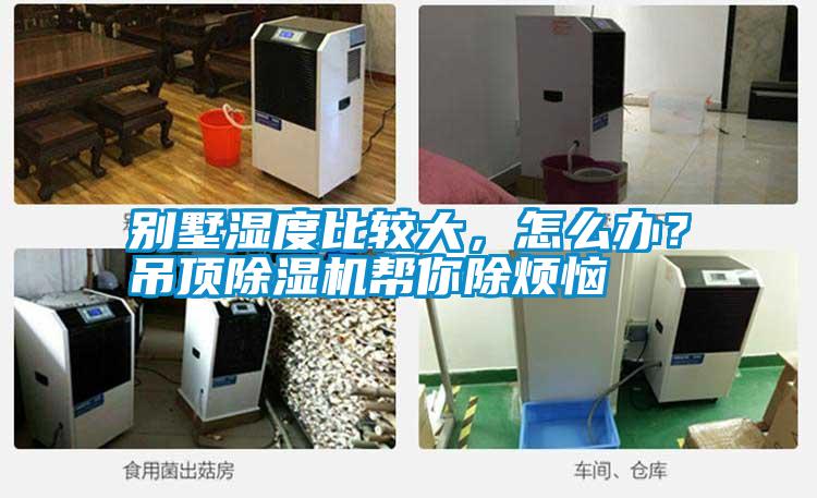 別墅濕度比較大，怎么辦？吊頂除濕機(jī)幫你除煩惱