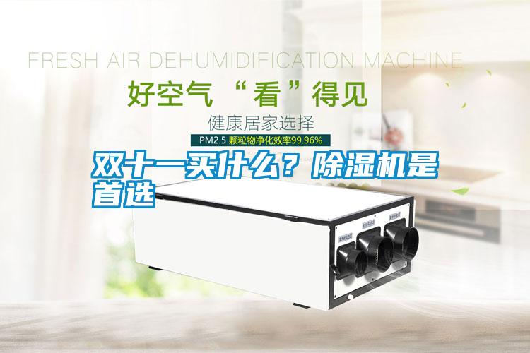 雙十一買什么？除濕機(jī)是首選