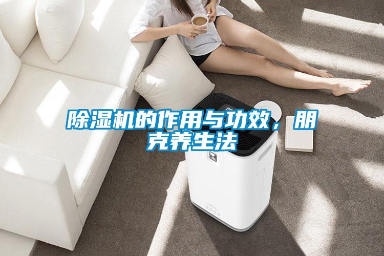 除濕機的作用與功效，朋克養生法