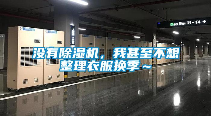 沒有除濕機，我甚至不想整理衣服換季～