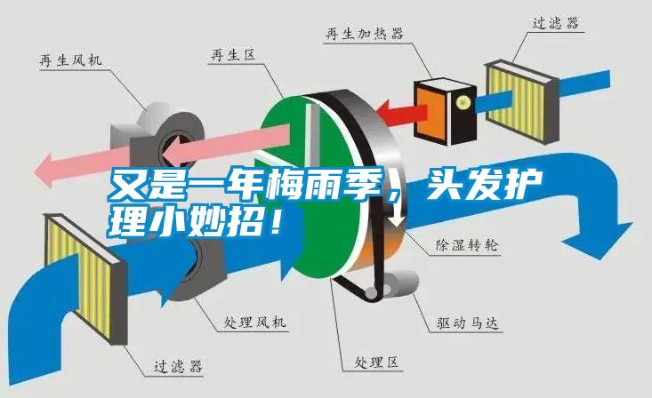 又是一年梅雨季，頭發(fā)護理小妙招！