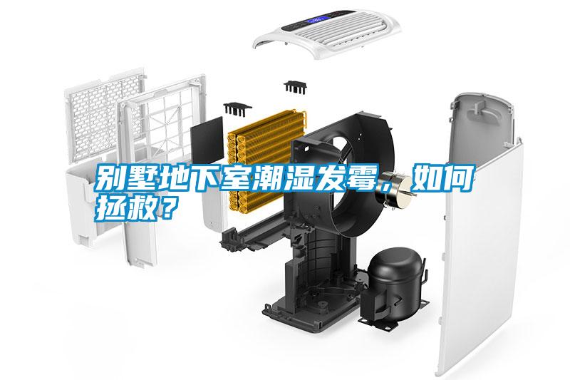 別墅地下室潮濕發(fā)霉，如何拯救？