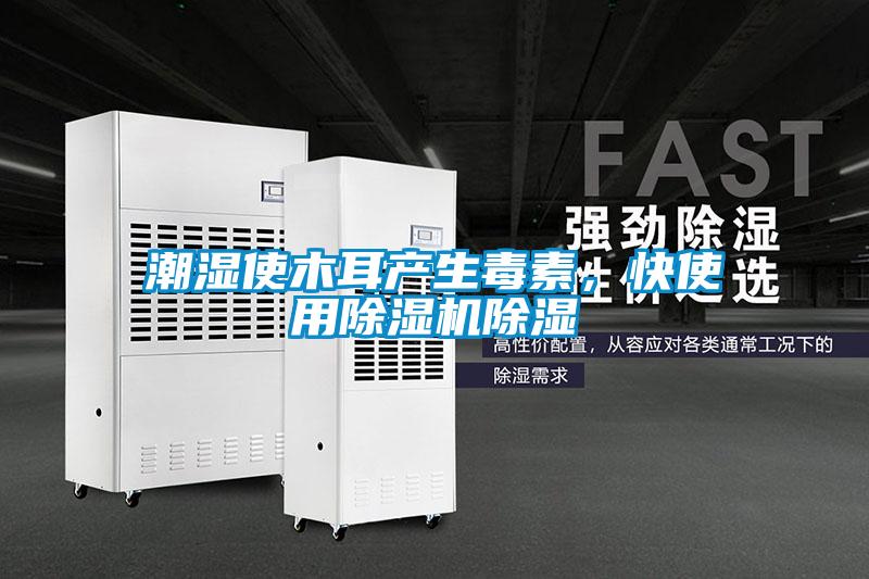 潮濕使木耳產生毒素，快使用除濕機除濕