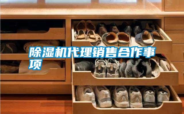 除濕機(jī)代理銷(xiāo)售合作事項(xiàng)