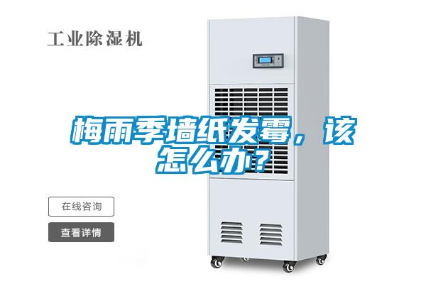 梅雨季墻紙發霉，該怎么辦？