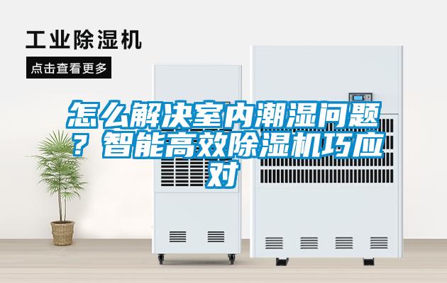 怎么解決室內(nèi)潮濕問題？智能高效除濕機(jī)巧應(yīng)對