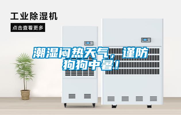 潮濕悶熱天氣，謹(jǐn)防狗狗中暑！