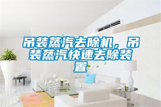 吊裝蒸汽去除機，吊裝蒸汽快速去除裝置