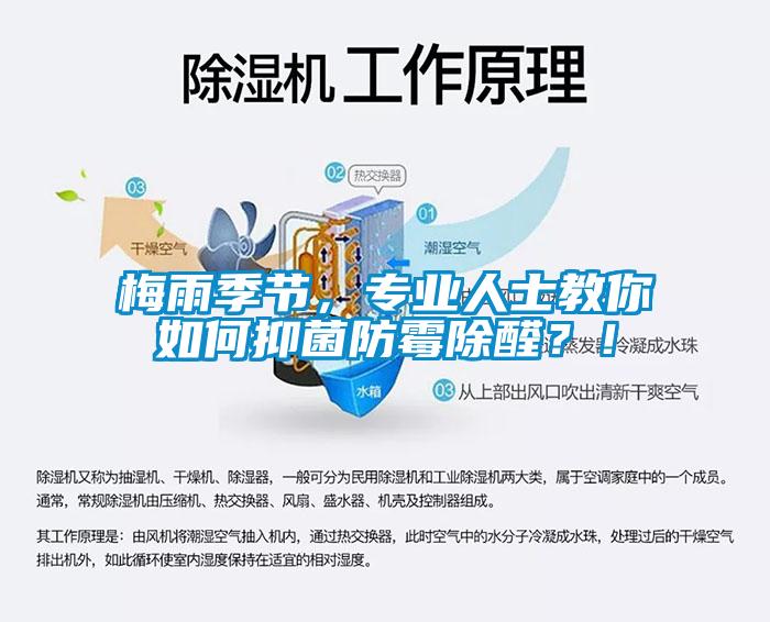 梅雨季節，專業人士教你如何抑菌防霉除醛？！