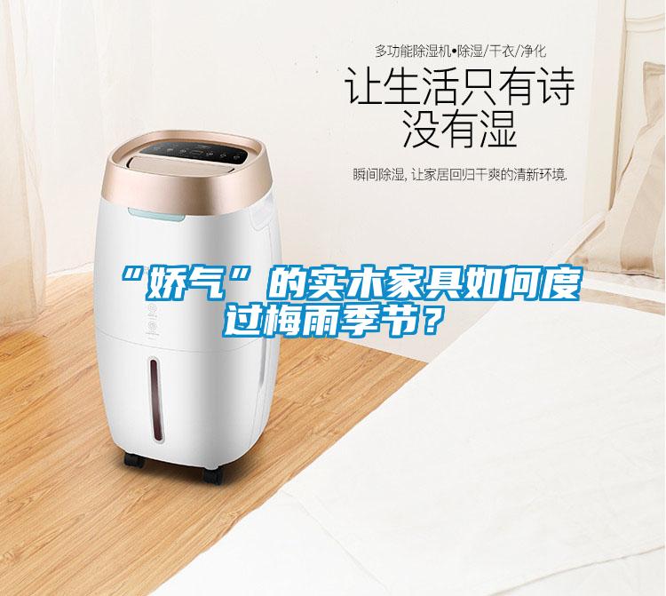 “嬌氣”的實木家具如何度過梅雨季節(jié)？