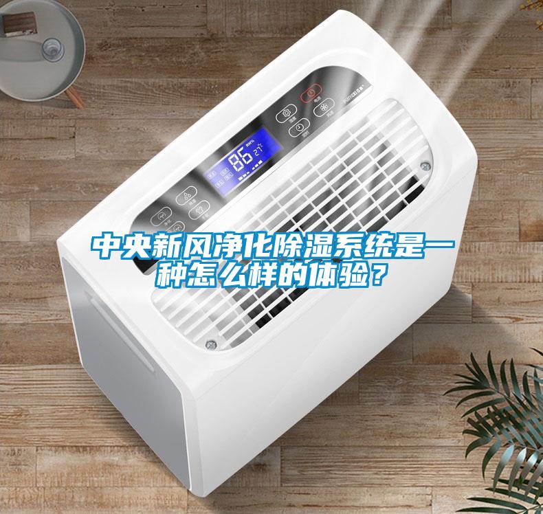 中央新風(fēng)凈化除濕系統(tǒng)是一種怎么樣的體驗(yàn)？