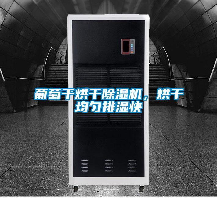 葡萄干烘干除濕機，烘干均勻排濕快