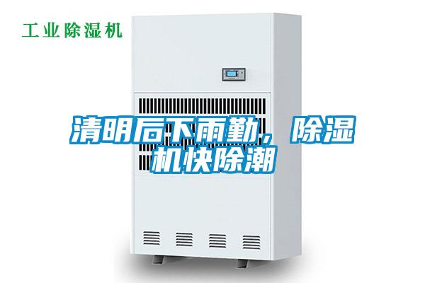 清明后下雨勤，除濕機快除潮