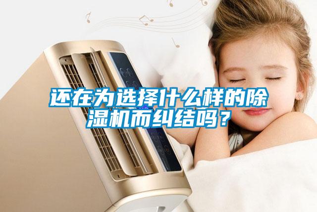 還在為選擇什么樣的除濕機(jī)而糾結(jié)嗎？