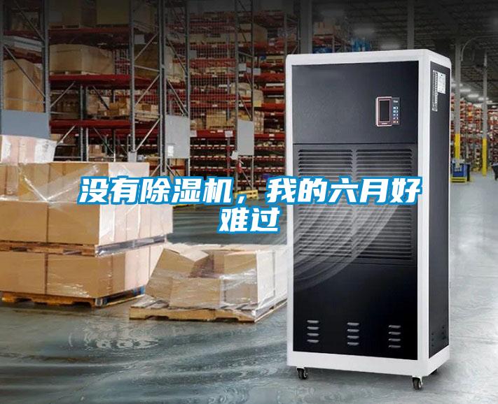 沒有除濕機(jī)，我的六月好難過