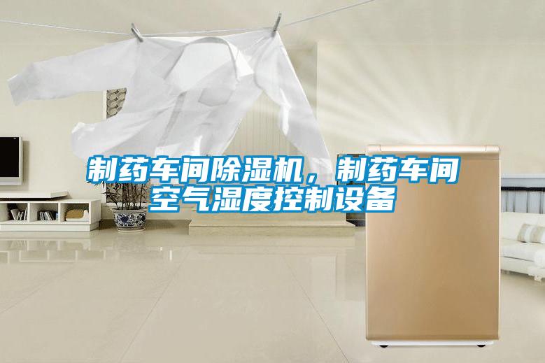制藥車(chē)間除濕機(jī)，制藥車(chē)間空氣濕度控制設(shè)備