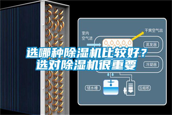 選哪種除濕機比較好？選對除濕機很重要