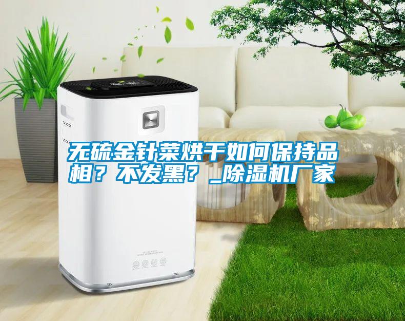 無硫金針菜烘干如何保持品相？不發黑？_除濕機廠家