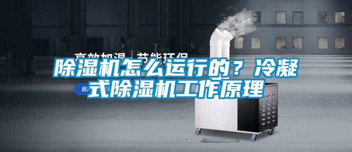 除濕機怎么運行的？冷凝式除濕機工作原理