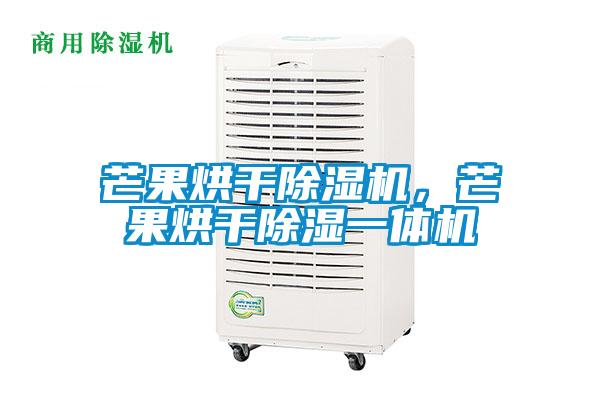 芒果烘干除濕機(jī)，芒果烘干除濕一體機(jī)