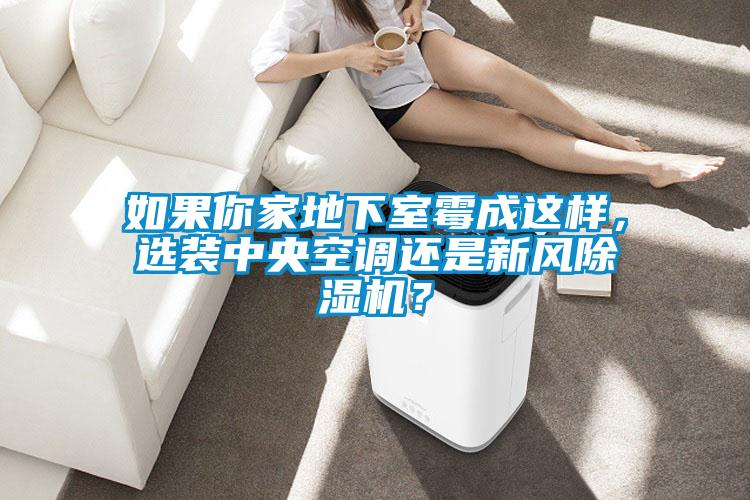 如果你家地下室霉成這樣，選裝中央空調還是新風除濕機？