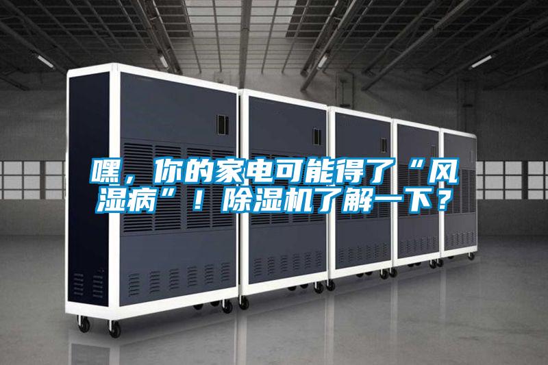 嘿，你的家電可能得了“風(fēng)濕病”！除濕機了解一下？