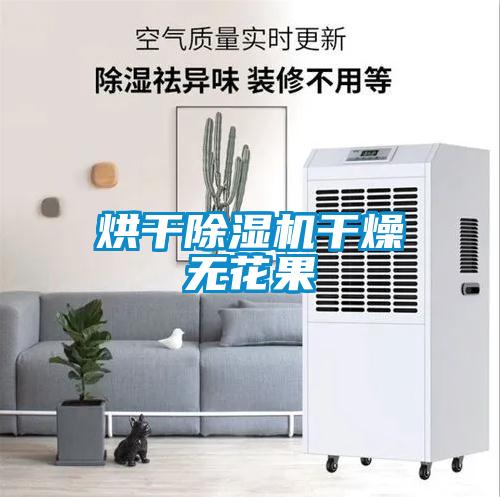 烘干除濕機(jī)干燥無花果