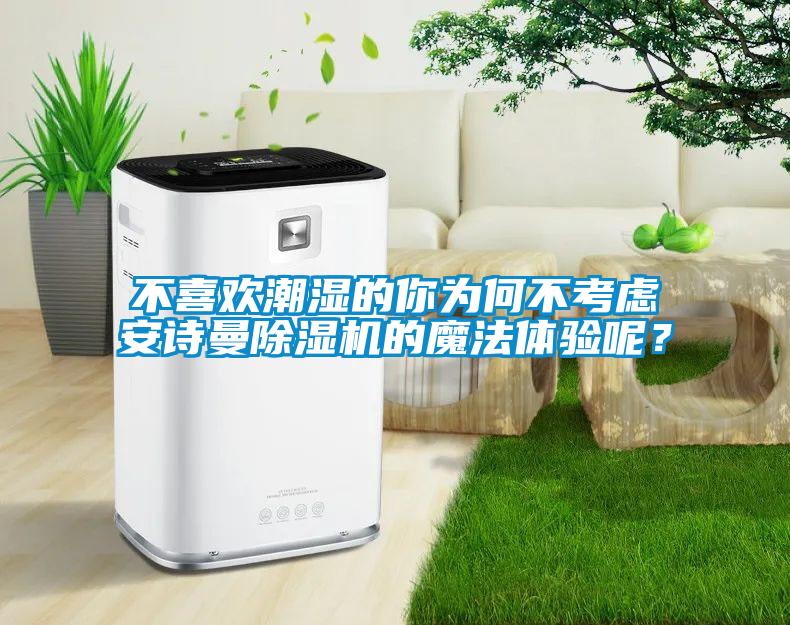 不喜歡潮濕的你為何不考慮安詩曼除濕機的魔法體驗呢？