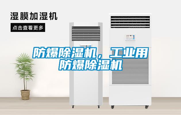 防爆除濕機(jī)，工業(yè)用防爆除濕機(jī)