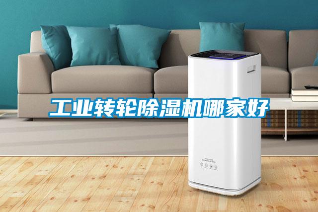 工業(yè)轉(zhuǎn)輪除濕機哪家好
