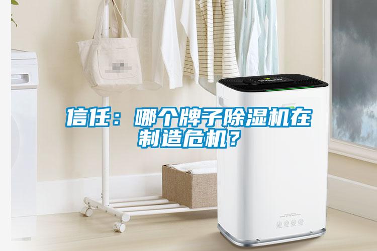 信任：哪個牌子除濕機在制造危機？