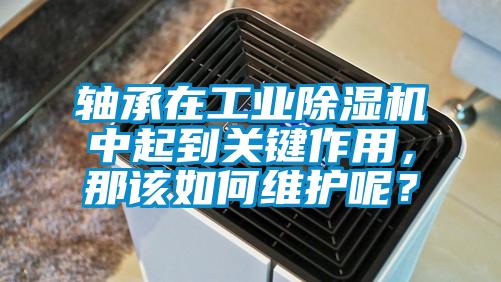 軸承在工業(yè)除濕機中起到關鍵作用，那該如何維護呢？