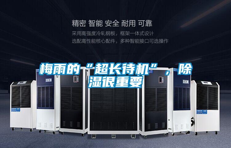 梅雨的“超長待機”，除濕很重要