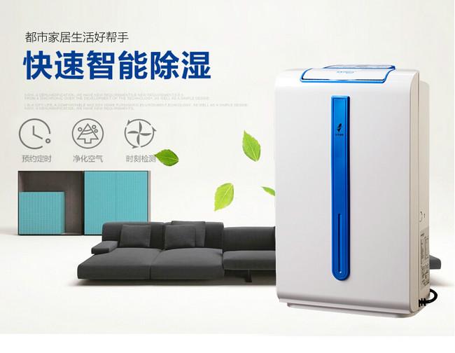 南方進入回南天，多肉植物這樣養才不會有事！