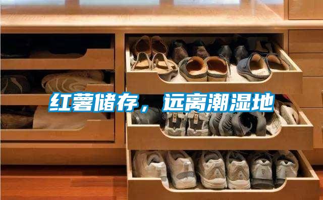 紅薯儲存，遠離潮濕地