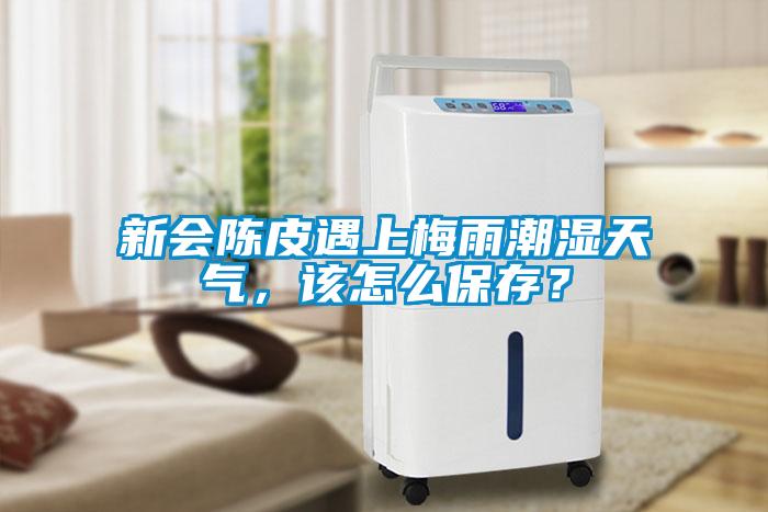 新會陳皮遇上梅雨潮濕天氣，該怎么保存？