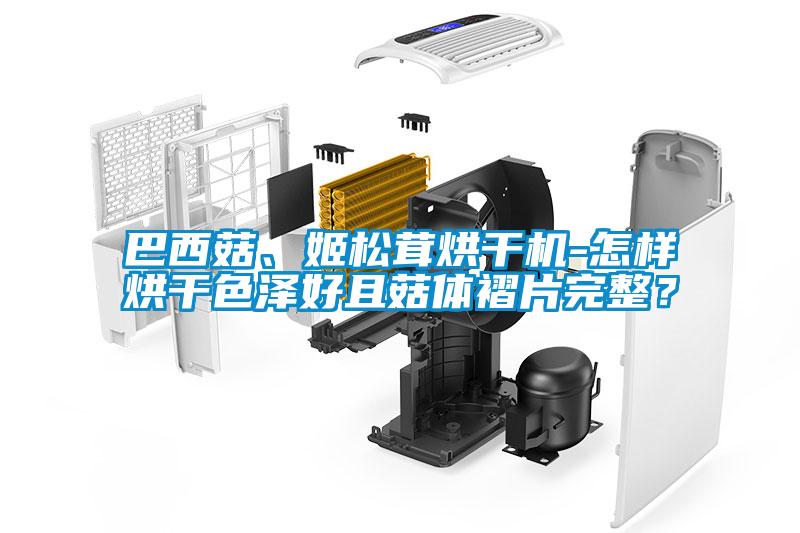 巴西菇、姬松茸烘干機-怎樣烘干色澤好且菇體褶片完整？