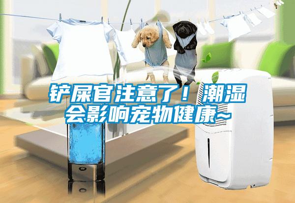 鏟屎官注意了！潮濕會影響寵物健康~