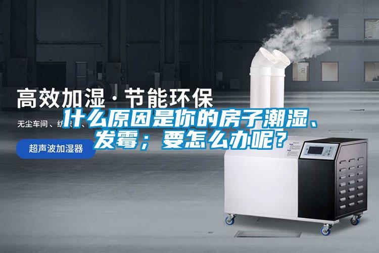 什么原因是你的房子潮濕、發(fā)霉；要怎么辦呢？