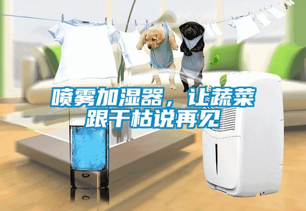 噴霧加濕器，讓蔬菜跟干枯說再見