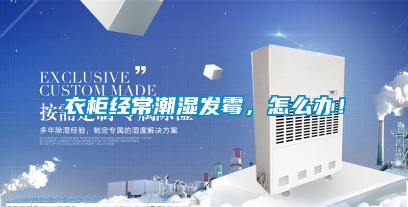 衣柜經(jīng)常潮濕發(fā)霉，怎么辦！