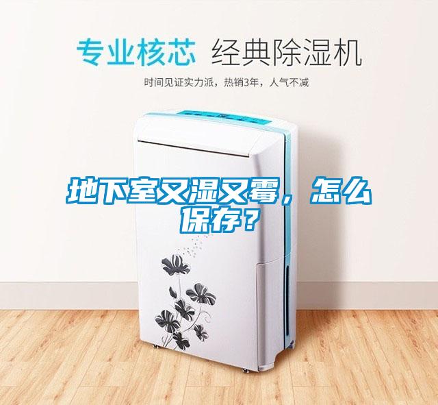 地下室又濕又霉，怎么保存？