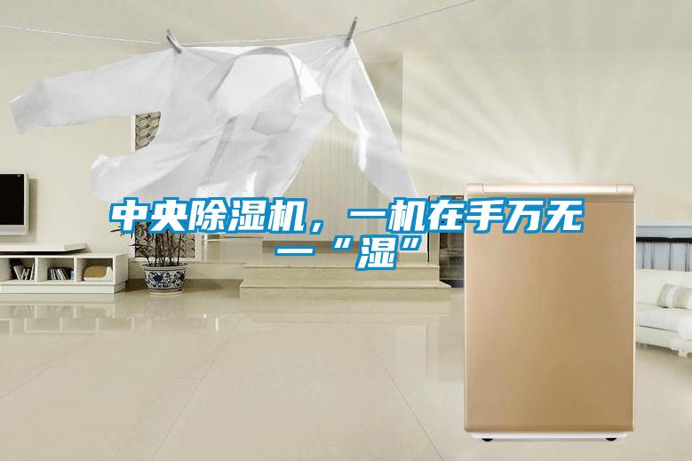 中央除濕機(jī)，一機(jī)在手萬(wàn)無(wú)一“濕”