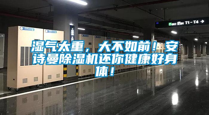 濕氣太重，大不如前！安詩(shī)曼除濕機(jī)還你健康好身體！