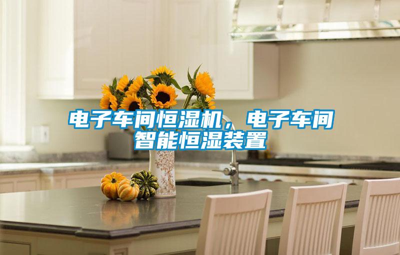 電子車間恒濕機，電子車間智能恒濕裝置