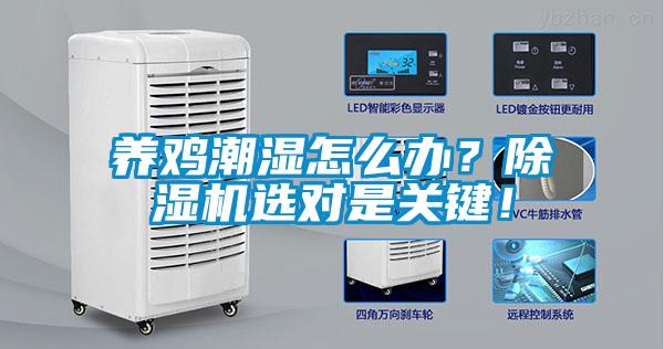 養雞潮濕怎么辦？除濕機選對是關鍵！