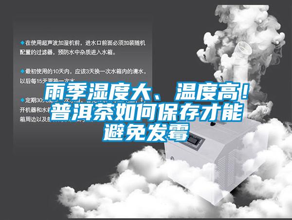 雨季濕度大、溫度高！普洱茶如何保存才能避免發霉